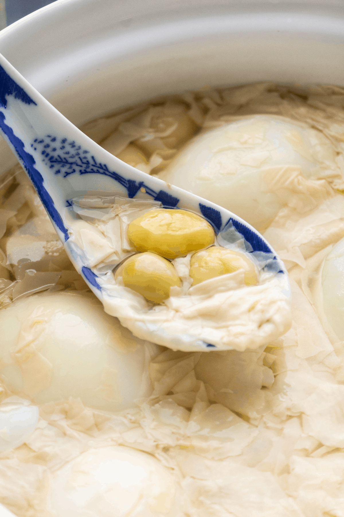 Bean Curd and Ginkgo Nut Dessert Soup (腐竹白果糖水) Wok and Kin