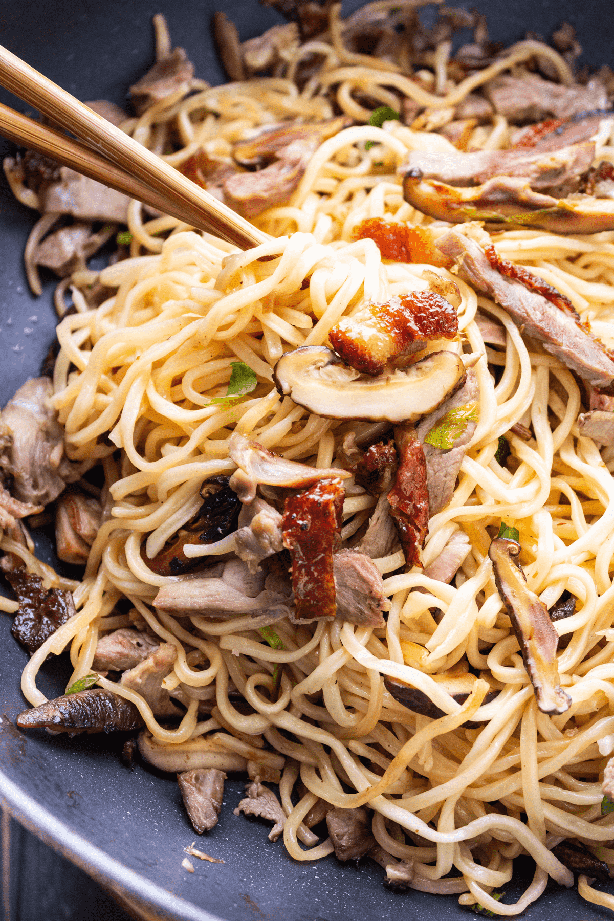 EFu Noodles with Roast Duck Wok and Kin